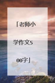 老师小学作文500字