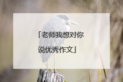 老师我想对你说优秀作文