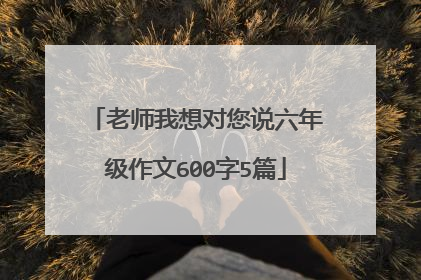 老师我想对您说六年级作文600字5篇