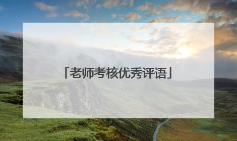 老师考核优秀评语