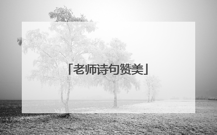 老师诗句赞美