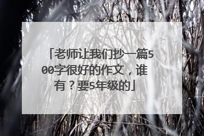 老师让我们抄一篇500字很好的作文，谁有？要5年级的
