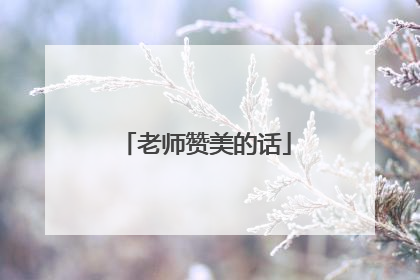 老师赞美的话