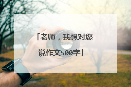 老师，我想对您说作文500字