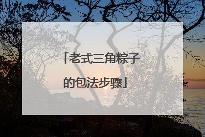 老式三角粽子的包法步骤
