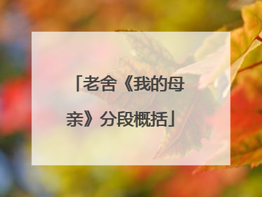 老舍《我的母亲》分段概括