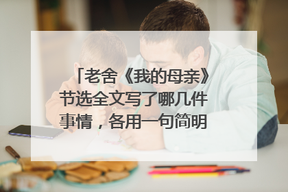 老舍《我的母亲》节选全文写了哪几件事情，各用一句简明的话概括出来？
