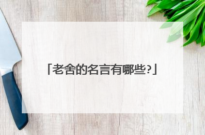 老舍的名言有哪些?
