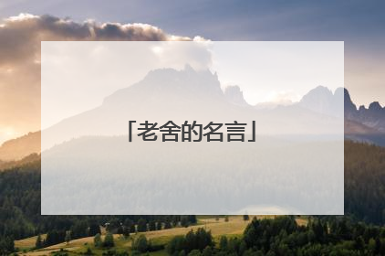 老舍的名言
