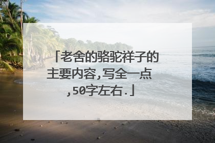 老舍的骆驼祥子的主要内容,写全一点,50字左右.