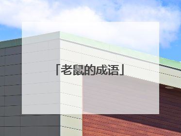 老鼠的成语