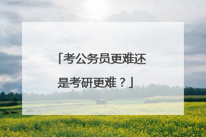 考公务员更难还是考研更难?