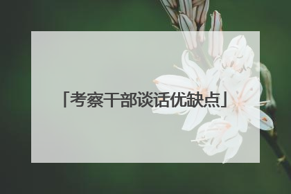 考察干部谈话优缺点