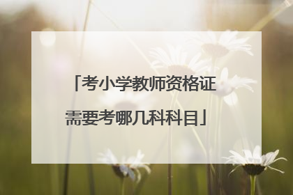 考小学教师资格证需要考哪几科科目