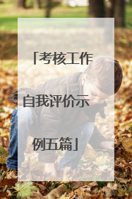 考核工作自我评价示例五篇