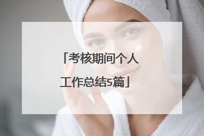 考核期间个人工作总结5篇