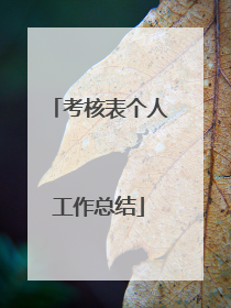 考核表个人工作总结