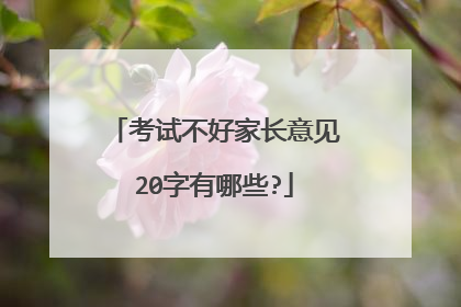 考试不好家长意见20字有哪些?