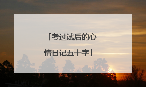 考过试后的心情日记五十字