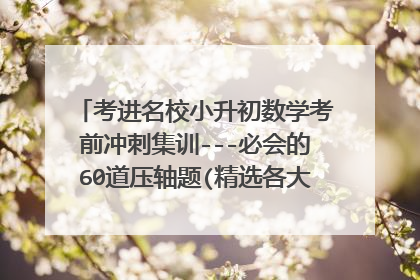 考进名校小升初数学考前冲刺集训---必会的60道压轴题(精选各大名校历年招生真题,覆盖小升初所有考点)