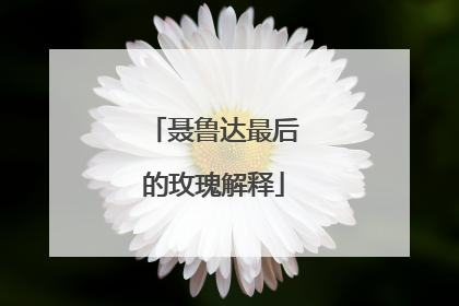 聂鲁达最后的玫瑰解释