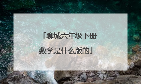 聊城六年级下册数学是什么版的