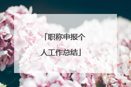 职称申报个人工作总结