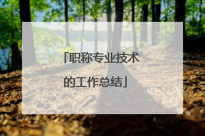 职称专业技术的工作总结