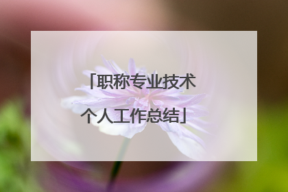 职称专业技术个人工作总结
