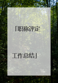 职称评定工作总结