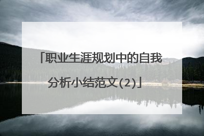 职业生涯规划中的自我分析小结范文(2)