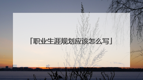 职业生涯规划应该怎么写
