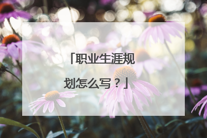 职业生涯规划怎么写？