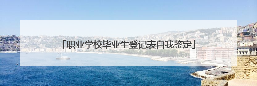 职业学校毕业生登记表自我鉴定