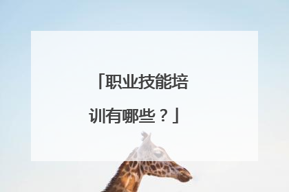 职业技能培训有哪些?