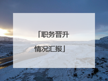 职务晋升情况汇报