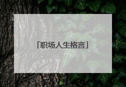 职场人生格言