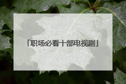 职场必看十部电视剧