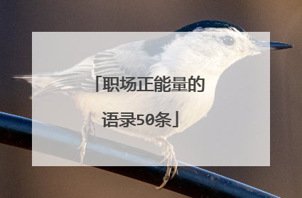 职场正能量的语录50条