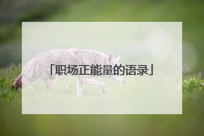 职场正能量的语录