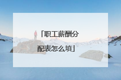 职工薪酬分配表怎么填