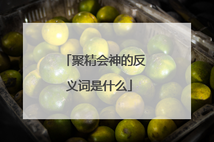 聚精会神的反义词是什么