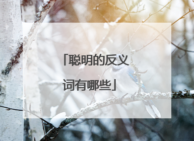 聪明的反义词有哪些