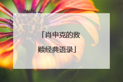 肖申克的救赎经典语录