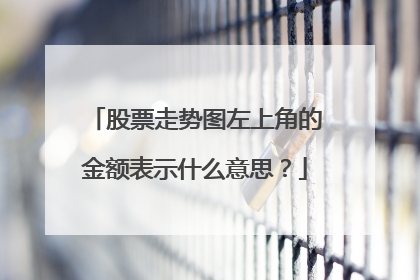 股票走势图左上角的金额表示什么意思？