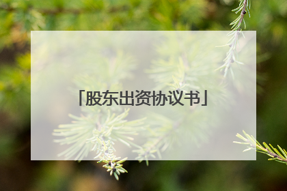 股东出资协议书
