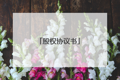 股权协议书