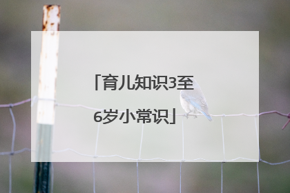 育儿知识3至6岁小常识