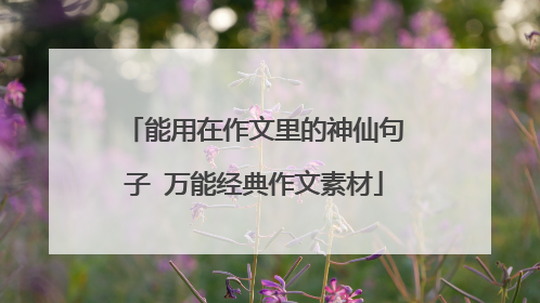 能用在作文里的神仙句子 万能经典作文素材