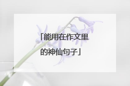 能用在作文里的神仙句子